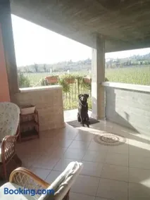Uno sguardo sulla Valpolicella - Image 2