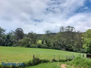 Bellingen Guest Suite with Forest Views - Image 1