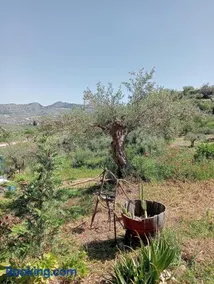 Romeo Stay eco cabins and camping - Image 3