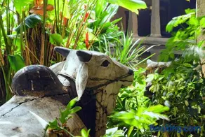 En Vilasam by Luxunlock Private Villas - Image 5