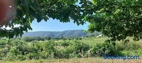 La Clemensane - Image 1