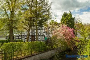 Feldmann-Schütte - Image 2