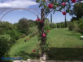 soleil et farniente - Image 1