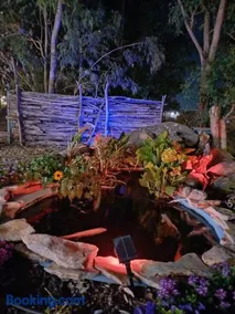 בועה ביער - Image 3