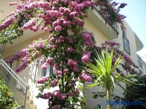 Apartments Marino - Image 1