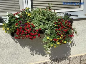 Ferienwohnung Casa Flora - Image 4