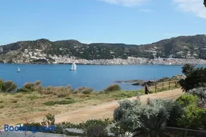 Estrella del Mar - Image 1