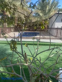 Dar Al Hamra Rest إستراحة دار الحمراء - Image 5