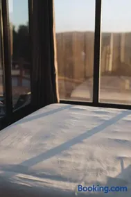 Wild Sage - Image 3
