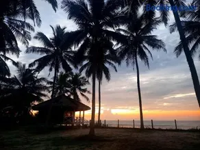 Coconut Grove Beach Cabanas - Image 1