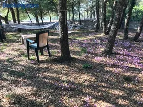 Villa Venus Woods - Image 2