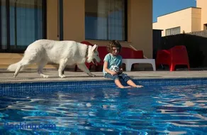 Villas Medes Mar - Plus Costa Brava - Image 3