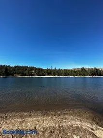 Bear Meadow Cabin at Shaver Lake - Image 3