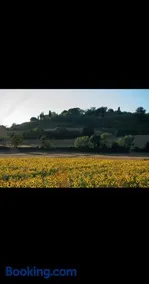 podere il poggetto - Image 2