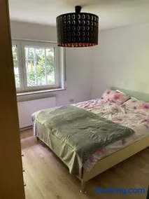 Ganze Wohnung In Ruhiger Lage - Image 3
