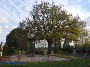 Maison éco-responsable avec terrasse, jardin privé et aménagement fauteuil roulant à Pouligny-Saint-Martin - Image 1