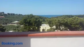 Melograno - Image 3