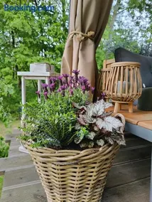 DOMAGAŁA domek - Image 3