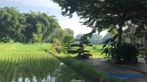 Lotus 2 Guest House - Image 1