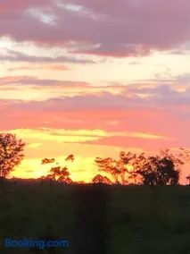 Fazenda na Amazônia diversidade botânica perto da praia - Image 1