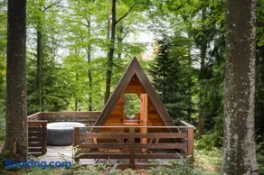 Nature's Nest - The Woods - Image 3