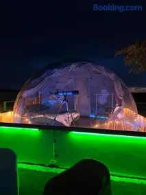 Bubble World Wild Love - Image 2