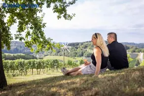 Weingut Dietl - Image 2