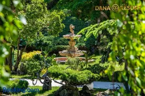 Hotel Dana Resort - Image 5