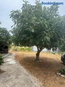 Apartmani Vlahek Stara Novalja - Image 3