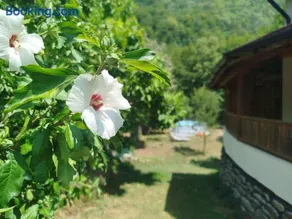 Къща за гости Аврамови - Image 4