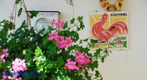 Stocknerhof - Image 2