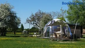 La Bulle des alpagas - Image 2
