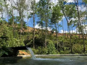 Achinthya Nature Resort - Image 2