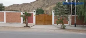 Las buganvilias - Image 3