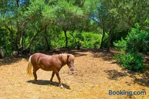 G189 Putxet d'en Robi by Mallorca Villa Selection - Image 5