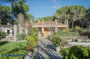 Ribera del Duero - Image 3