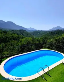 Dalmatian Green Peak - Image 1
