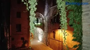 Palazzetto Bentivoglio - Image 3