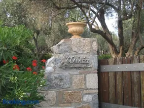 Alilea - Image 3