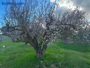 Willunga Farm Retreat - Image 3