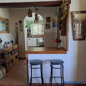 bambú - Image 1