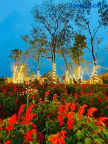 Việt Úc Flower Garden - Image 2