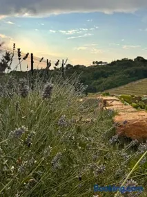 Gordia organic winery - Image 2