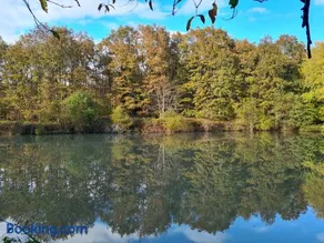 Domaine des Aulnaies - Beauval - Mareuil sur Cher - Image 2