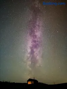 Vega - Image 5