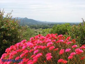B&B La Cigaline - Image 3