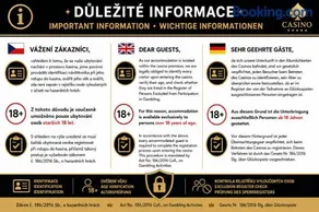 Casino & Pension Admiral Dolní Dvořiště - Image 1