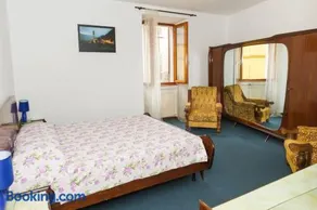 House of cats - Image 4