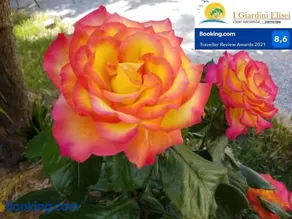 Complesso "I Giardini Elisei" - Image 3