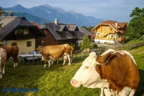 Schönauerhof - Image 4